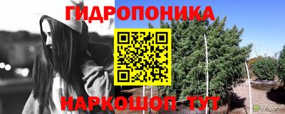 круглые Камышлов