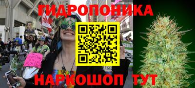 круглые Камышлов