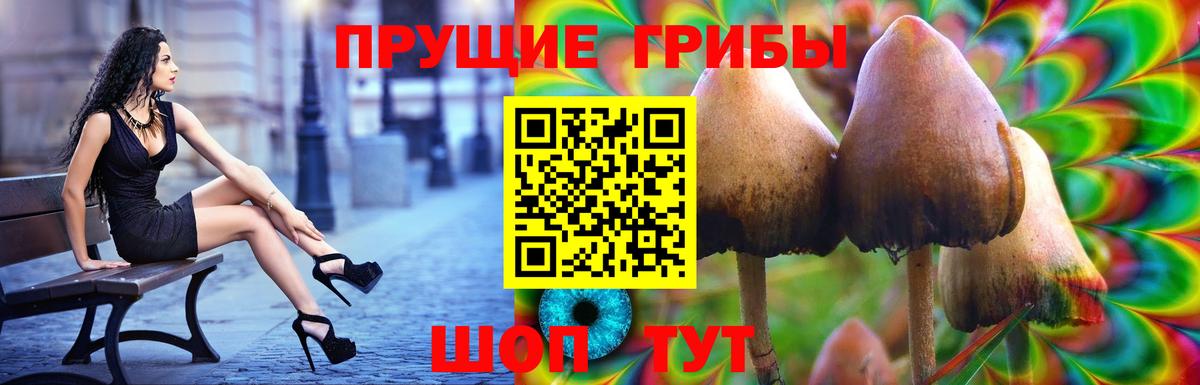 где найти   Псилоцибиновые грибы MAGIC MUSHROOMS  Псилоцибиновые грибы мицелий  Вход с VPN  Канск 